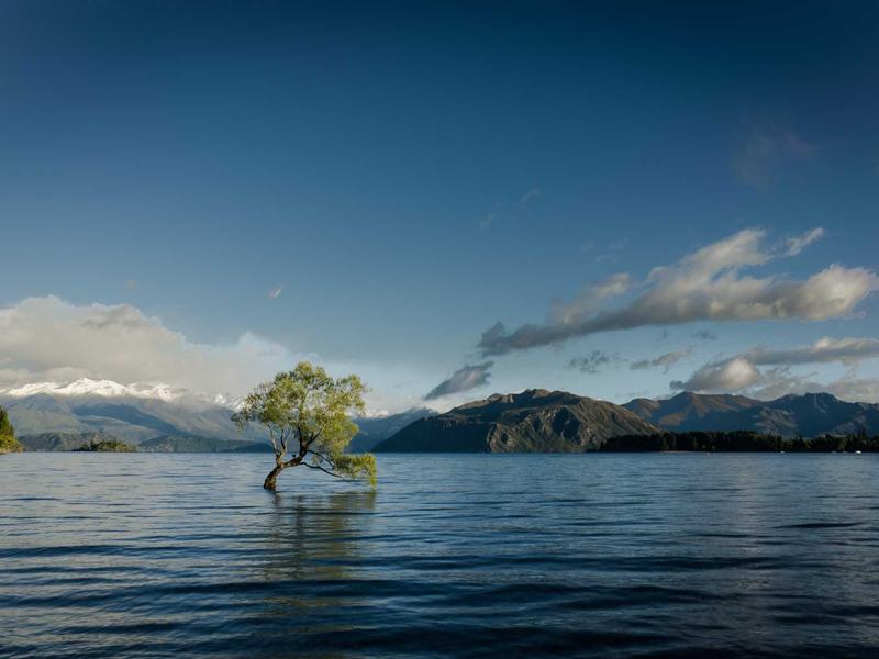 废土拾荒者<br>qyo4zwyv.cn 垃圾佬的荣耀